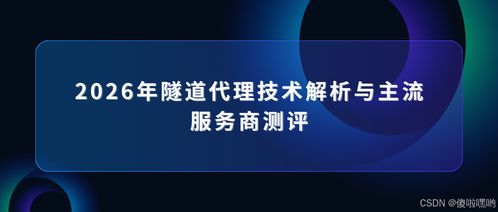 2026年隧道代理技術(shù)解析與主流服務(wù)商測(cè)評(píng)